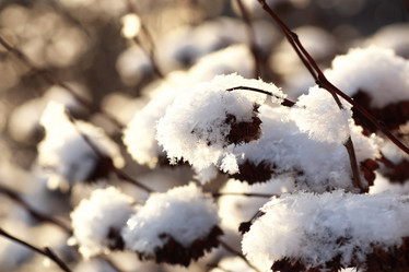 Similar image 20050190