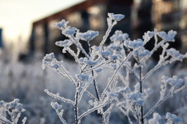 Similar image 20050192