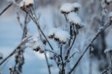 Similar image 20050193