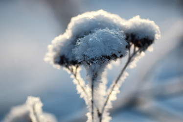 Similar image 20050194