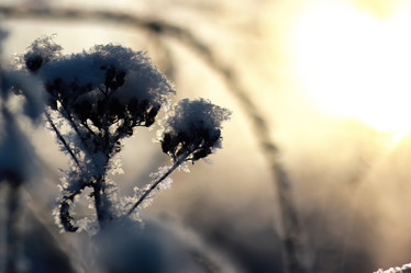 Similar image 20050195