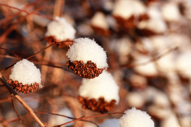 Similar image 20050196