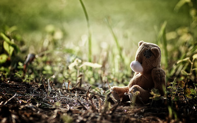 Similar image 20050209