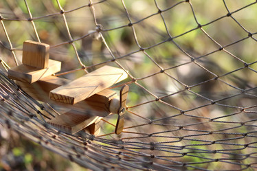 Similar image 20050210