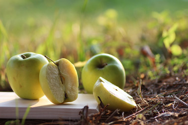 Similar image 20050212