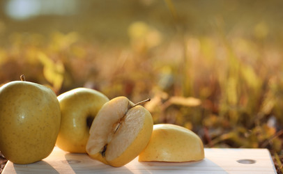 Similar image 20050214