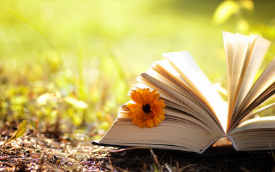 Similar image 20050223