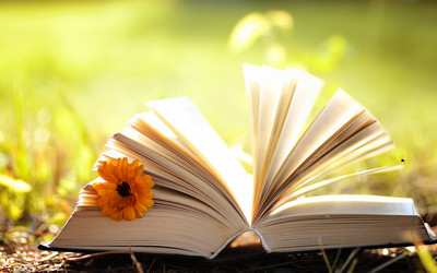 Similar image 20050224