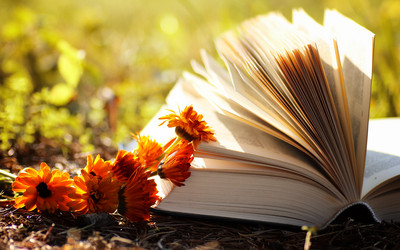 Similar image 20050226