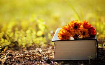 Similar image 20050227