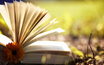 Similar image 20050229