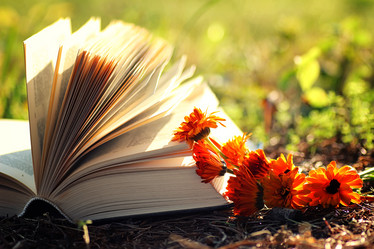 Similar image 20050231