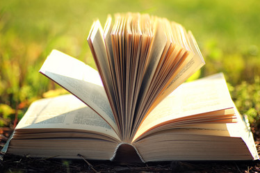 Similar image 20050232