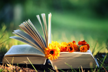 Similar image 20050233