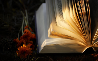 Similar image 20050234