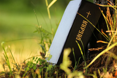 Similar image 20050237