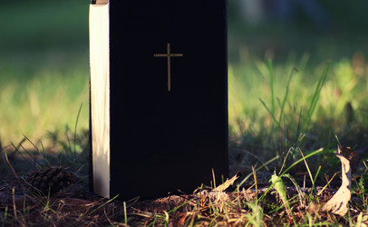 Similar image 20050238