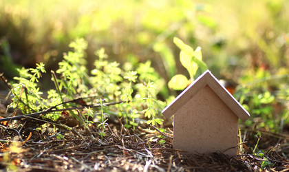 Similar image 20050240