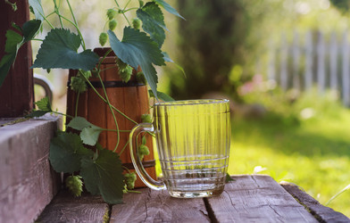 Similar image 20050244