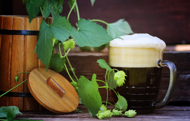 Similar image 20050249