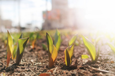 Similar image 20050256