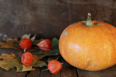 Similar image 20050257