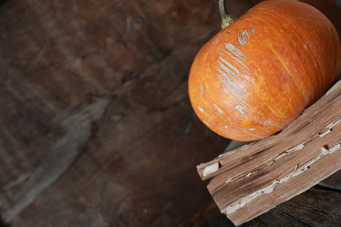 Similar image 20050259