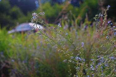 Similar image 20050270