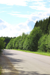 Similar image 20050273