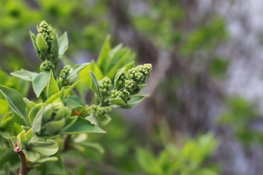 Similar image 20050275