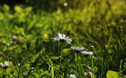 Similar image 20050281