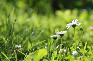 Similar image 20050282