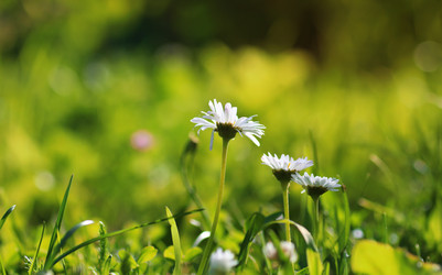 Similar image 20050283