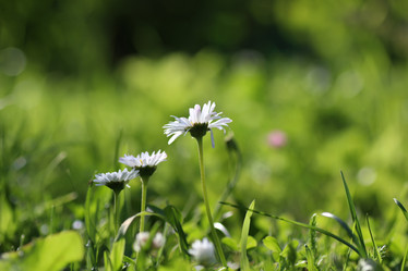 Similar image 20050284