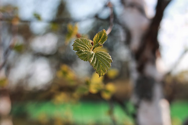 Similar image 20050303