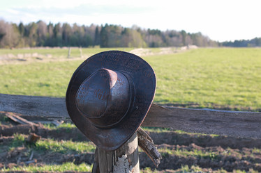 Similar image 20050308