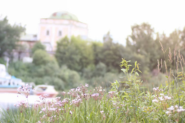 Similar image 20050312