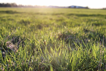 Similar image 20050321