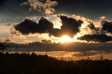 Similar image 20050322