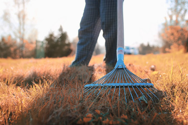 Similar image 20050327