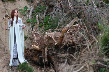 Similar image 20050358