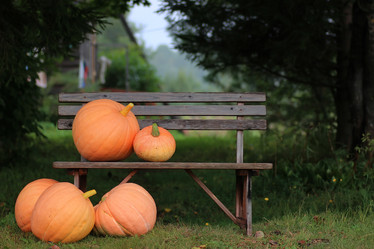 Similar image 20050378