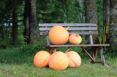 Similar image 20050379