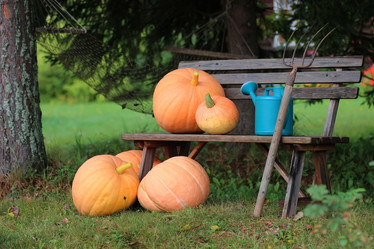 Similar image 20050380