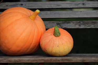 Similar image 20050382