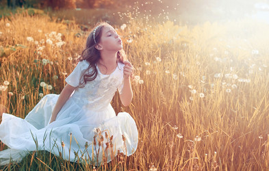 Similar image 20050383