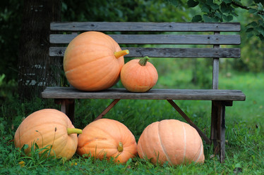 Similar image 20050384