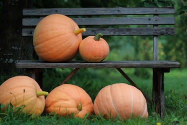 Similar image 20050385