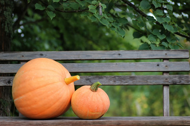 Similar image 20050386