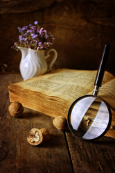 Similar image 20050402